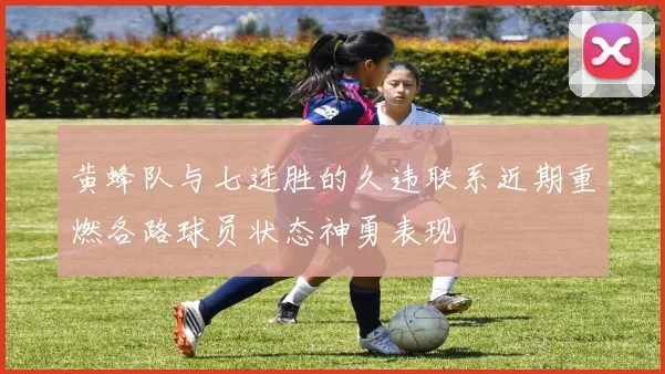 黄蜂队与七连胜的久违联系近期重燃各路球员状态神勇表现