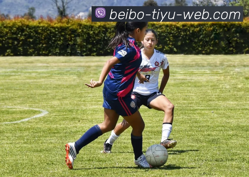 贝博体育APP 封面图